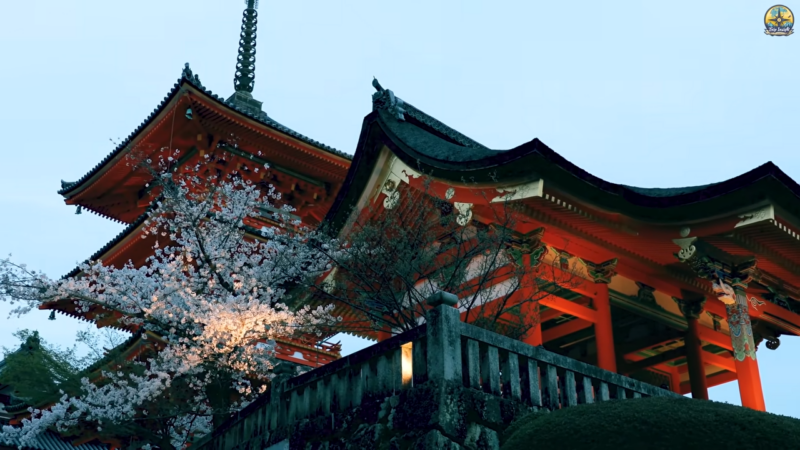 japan zimi